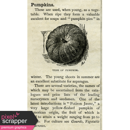 Cast A Spell Elements - Pumpkin Ephemera