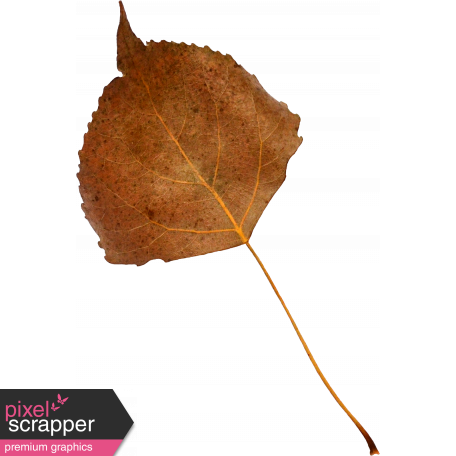 Autumn Pieces - Leaf 06