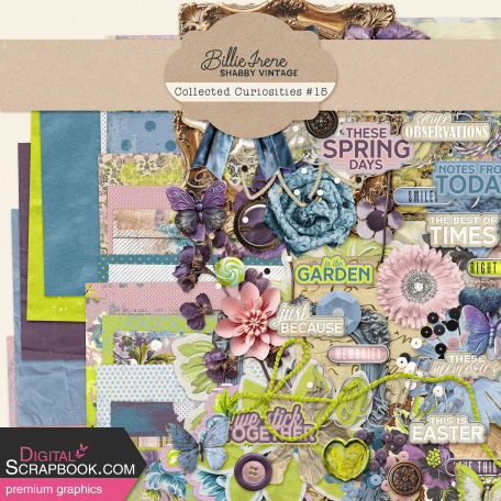 Collected Curiosities #15 Bundle