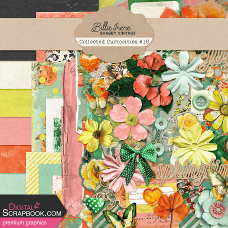Collected Curiosities #16 Bundle