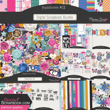 Fieldnotes #13 Bundle
