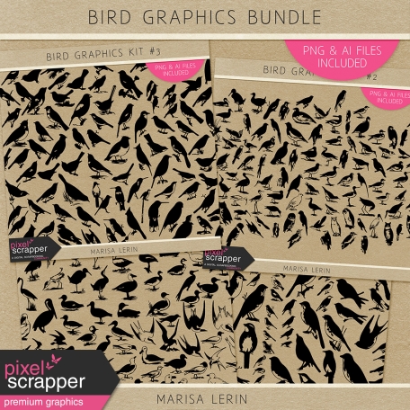 Bird Graphics Bundle