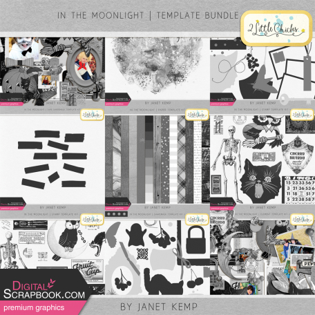 In the Moonlight - Template Bundle