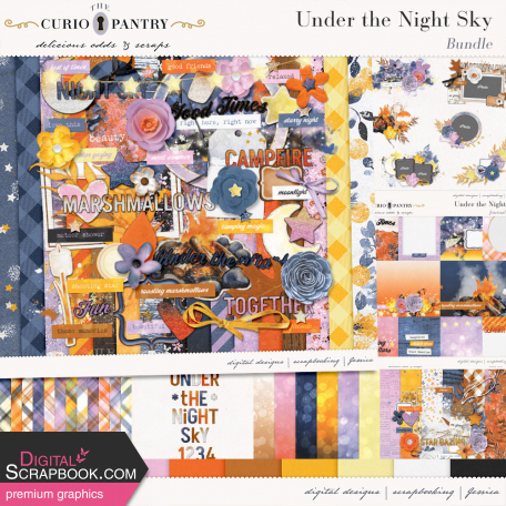 Under the Night Sky 