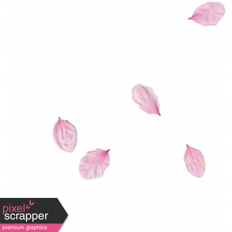 Pink Flower Scatter (01)