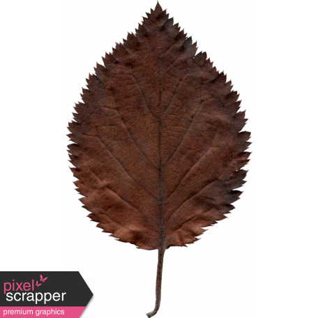 AutumnArt-Leaf-Brown