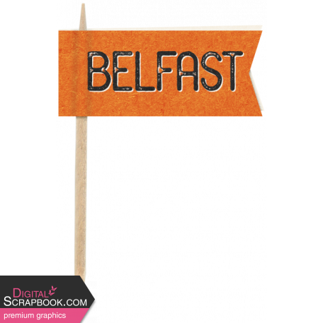 Ireland City Flag Belfast