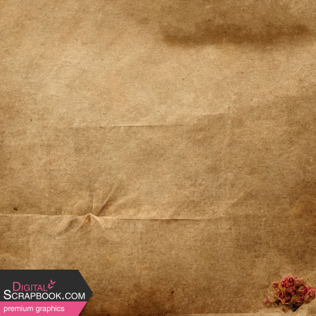 Kraft Paper 01