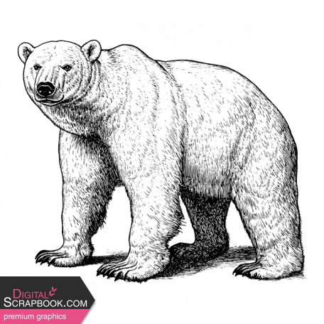 CC#12 Sticker Black and White 04