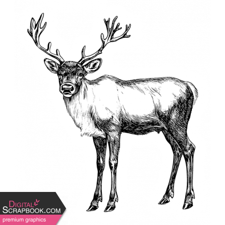 CC#12 Sticker Black and White 06