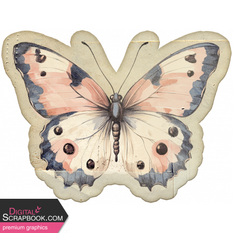 Collected Curiosities #14 Butterfly 03