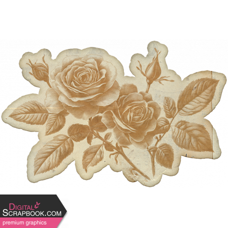 Collected Curiosities #14 Sticker Texture 08