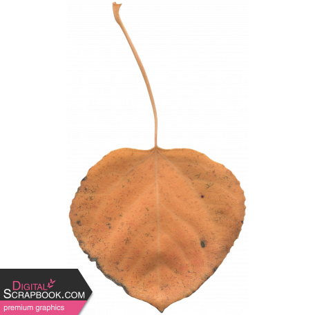 Thanksgiving Leaf - Orange