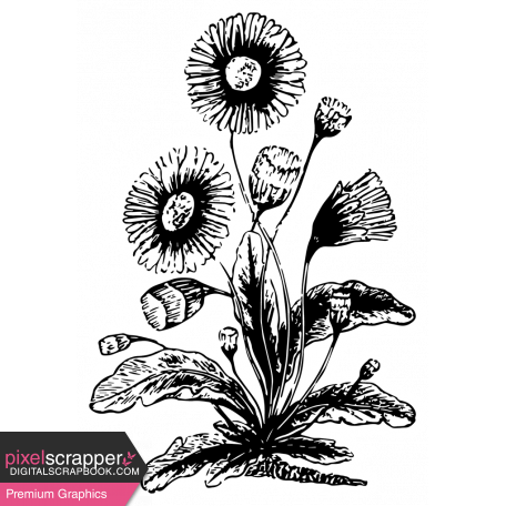 The Good Life: April Collage Kit - Sticker Flower 1