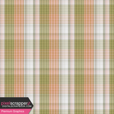 Good Life July 21_Paper Plaid-Green Pink Orange