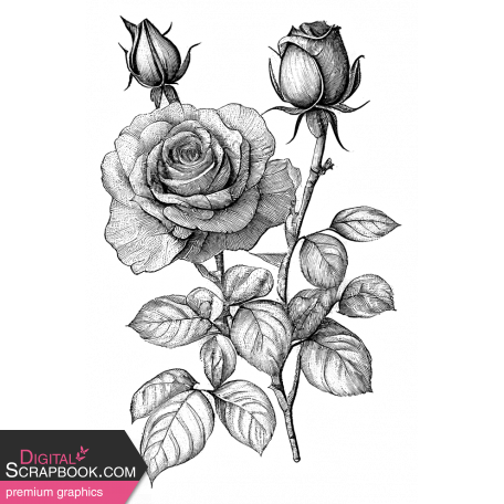 Rose Sticker 2