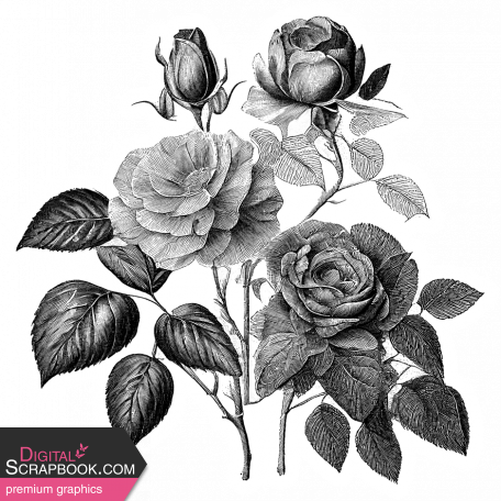Rose Sticker 4