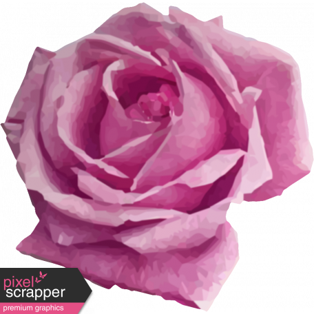 Be Bold Rose 1