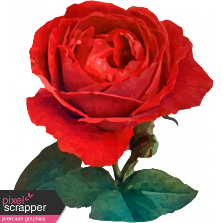 Be Bold Rose 2