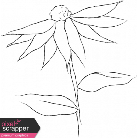 Drawn Flowers - Templates - Sketch Echinacea