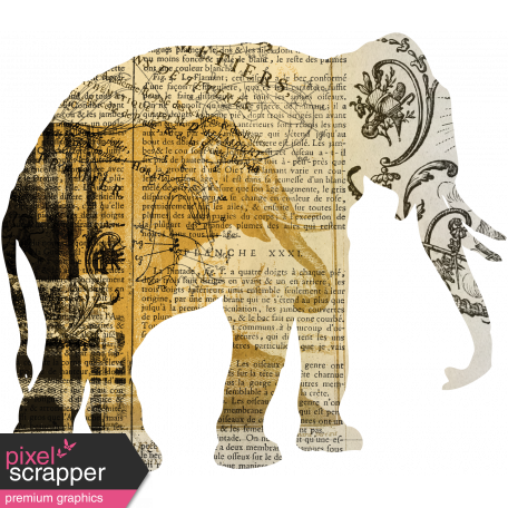 Animal Kingdom - Zoo Collage - Elephant