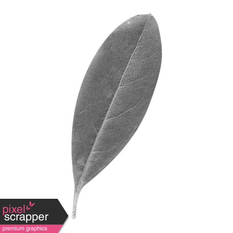 Leaves - Templates - Leaf 5