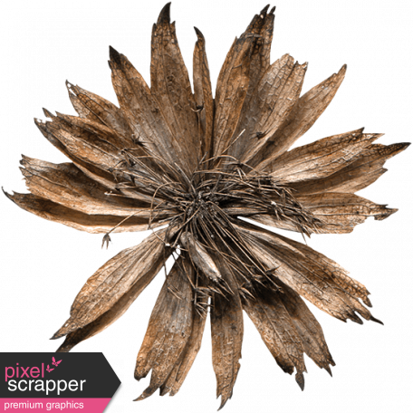 Autumn Day - Elements - Dried Flower 01