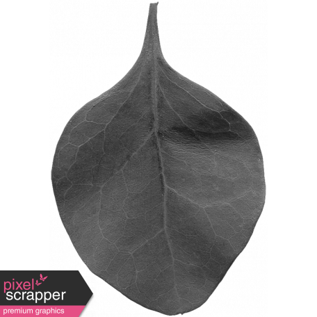 Leaves No. 2 - Leaf Template 5
