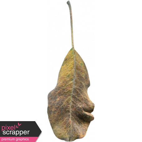 Leaves No.1 – Leaf 2