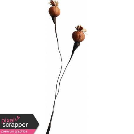 One Of A Kind - Seed Branch