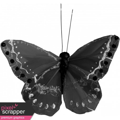 Butterfly Template 065