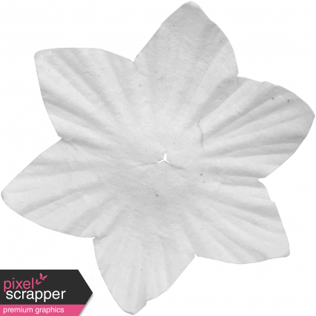 Paper Flower Template 030