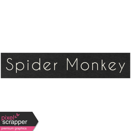 At the Zoo - Spider Monkey Word Art