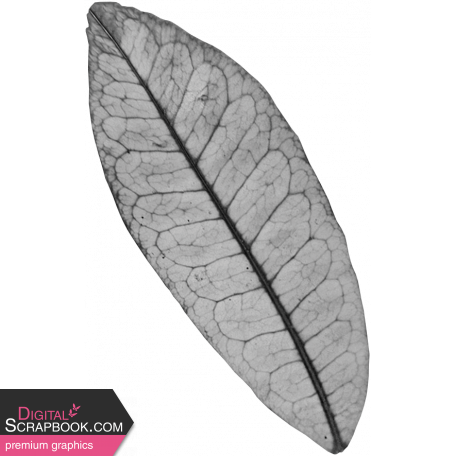 Leaf Template 127