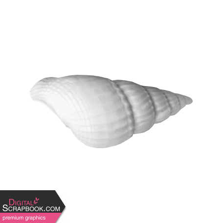 Shell Template 019