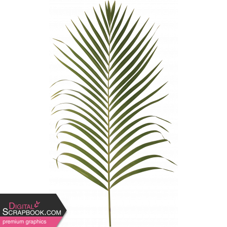 Unwind - Palm Leaf