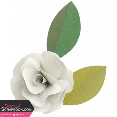 May Flowers - White Paper Flower