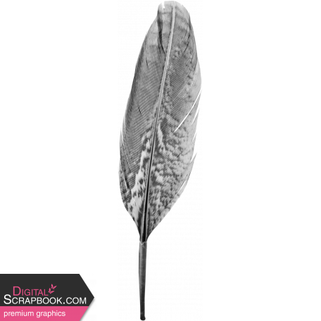 Feather Template 007