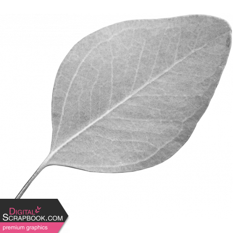 Leaf Template 139