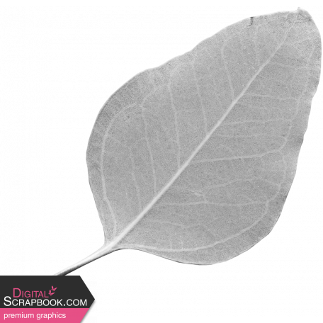 Leaf Template 140