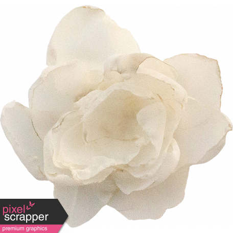 The Nutcracker - White Sheer Flower