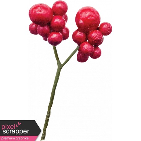 The Nutcracker - Holly Berries