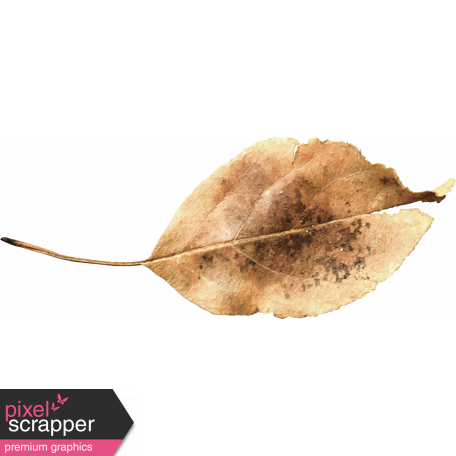 Woodland Winter - Leaf 2