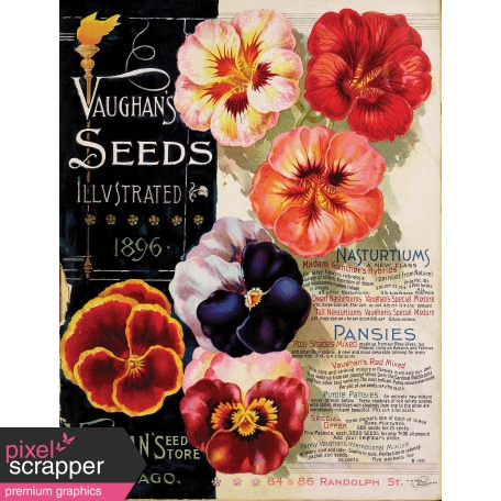 Spring Day Collab - May Flowers Vintage Seed Catalog Cover