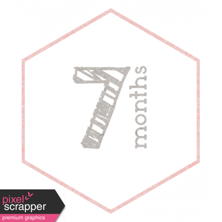 Baby Shower 7 Months Pink Hexagon Tag