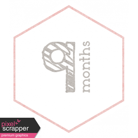 Baby Shower 9 Months Pink Hexagon Tag