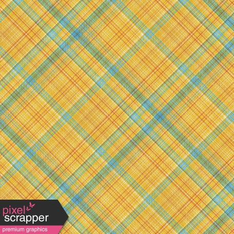 Bohemian Sunshine Plaid Paper 09