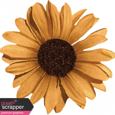 Copper Spice Yellow Flower