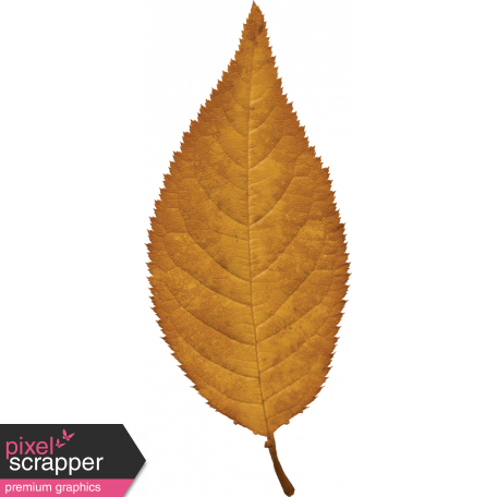 Copper Spice Yellow Leaf