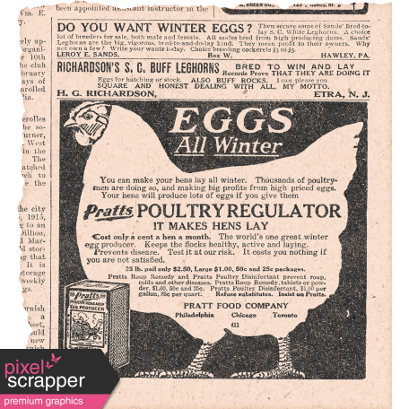 Chicken Keeper Element Vintage Ad Eggs